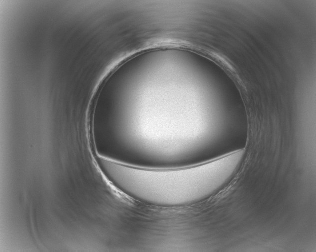 X0000057571430200509160825