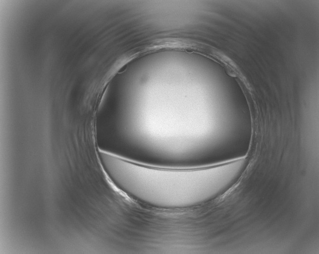 X0000057571433200509160825