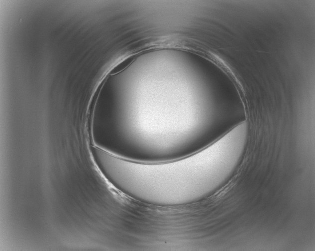 X0000057571434200509160825