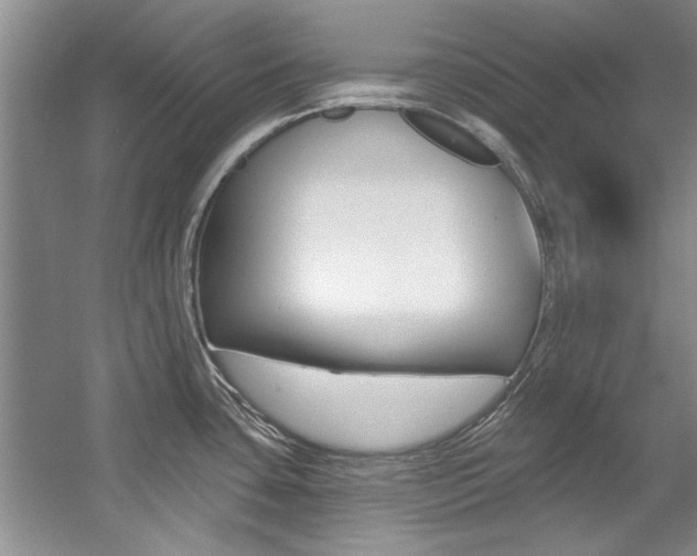 X0000057571435200509160825