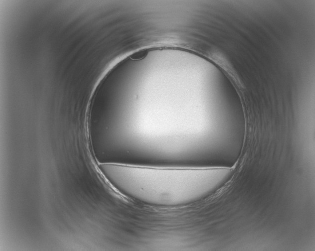 X0000057571436200509160825
