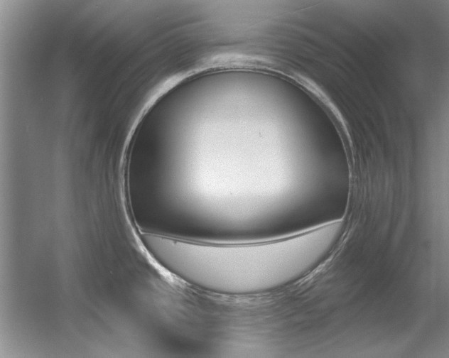 X0000057571437200509160825