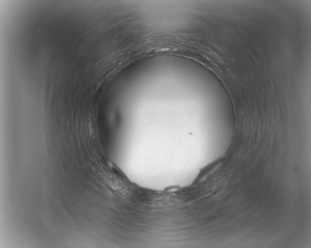 X0000057571442200509160824
