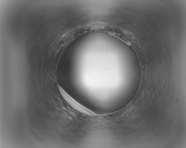 X0000057571445200509160824