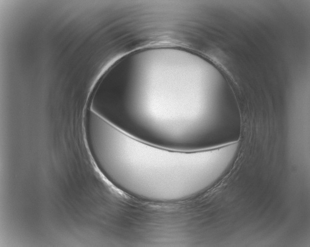 X0000057571476200509160823
