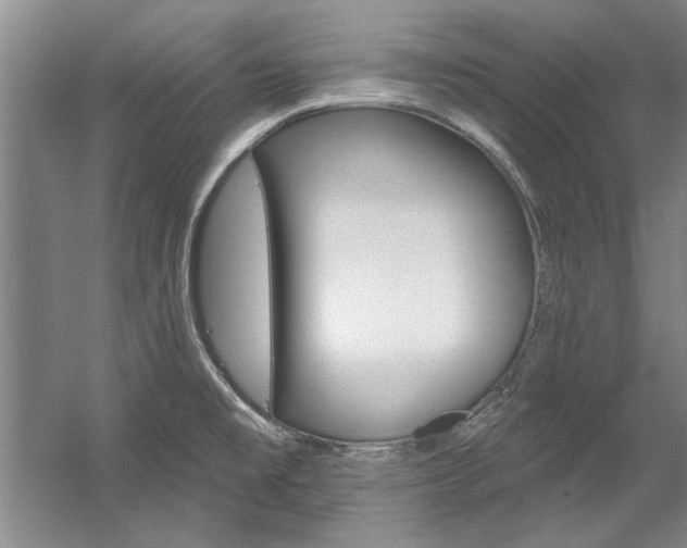 X0000057571477200509160823