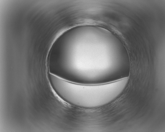 X0000057571479200509160823