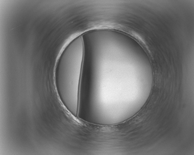 X0000057571480200509160823