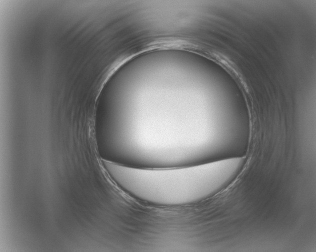 X0000057571481200509160823