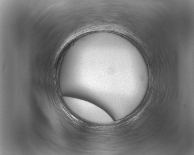 X0000057571498200509160823
