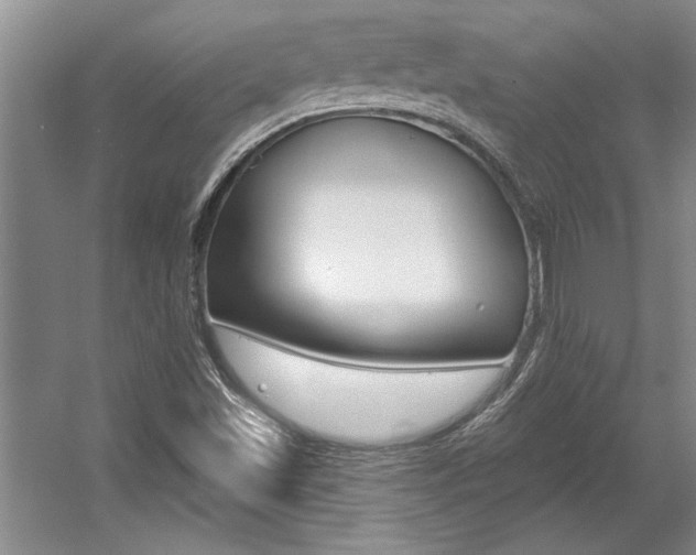 X0000057571501200509160823