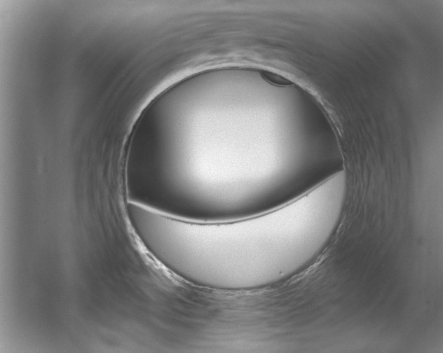 X0000057571534200509160823