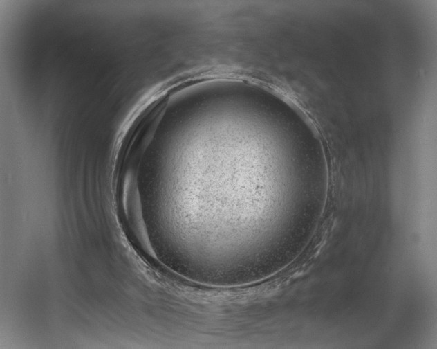 X0000057570007200509161045