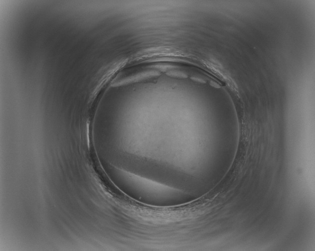 X0000057570014200509161045