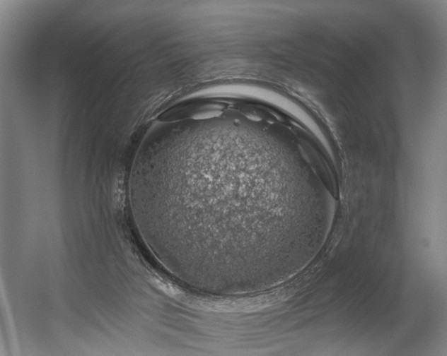 X0000057570017200509161045