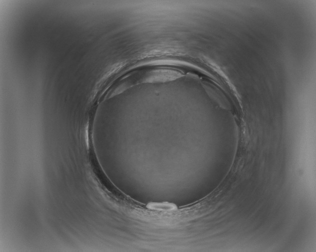 X0000057570019200509161045