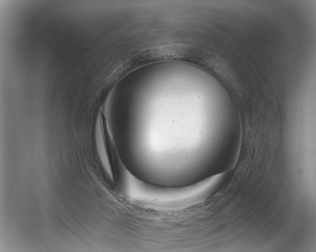 X0000057570021200509161045