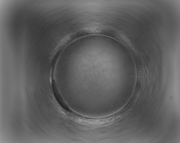 X0000057570023200509161045