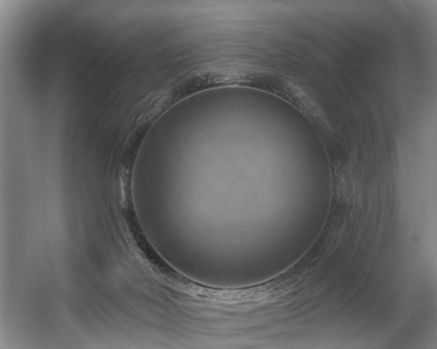 X0000057570026200509161045