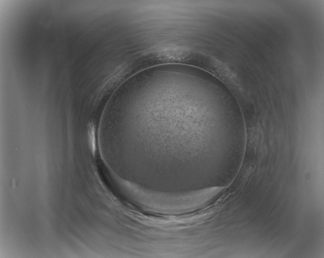 X0000057570027200509161045