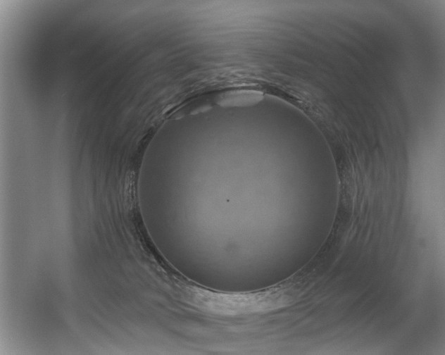 X0000057570034200509161045