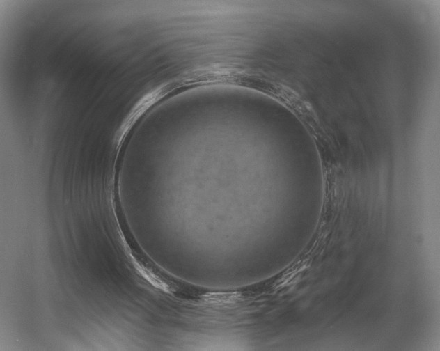 X0000057570051200509161044
