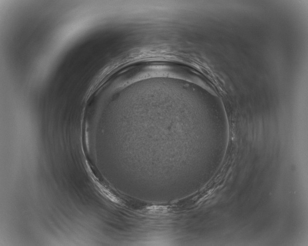X0000057570052200509161044