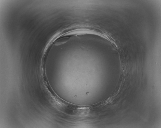 X0000057570053200509161044