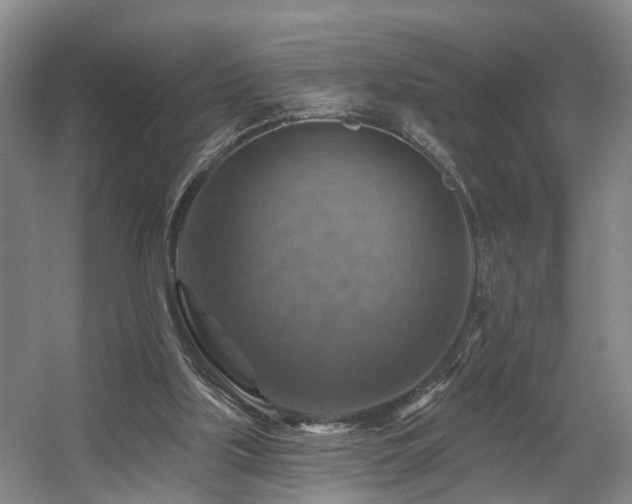 X0000057570059200509161044