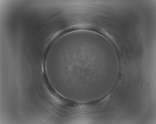 X0000057570062200509161044