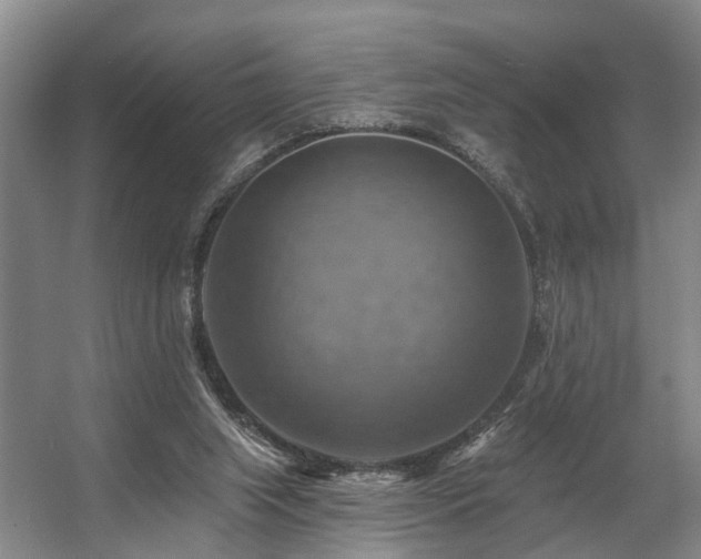 X0000057570063200509161044