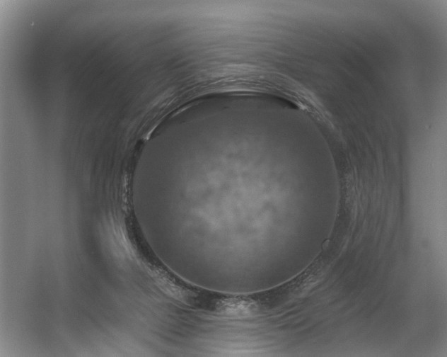 X0000057570073200509161044