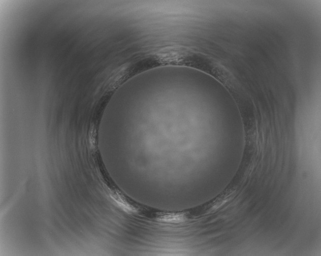 X0000057570081200509161044