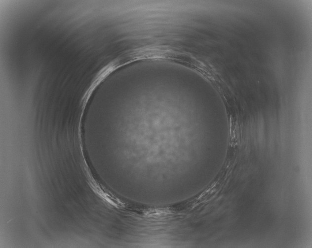 X0000057570099200509161044