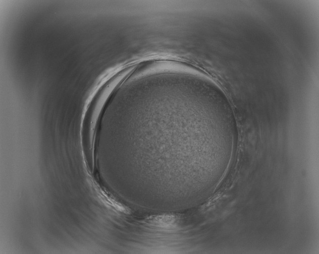 X0000057570104200509161044