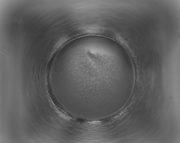 X0000057570106200509161044