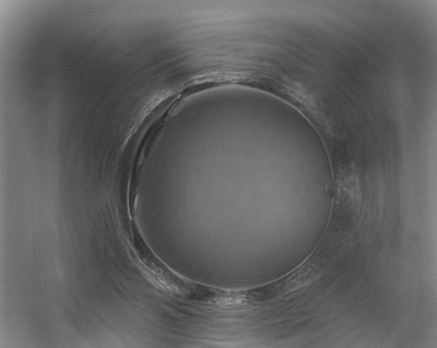 X0000057570110200509161043