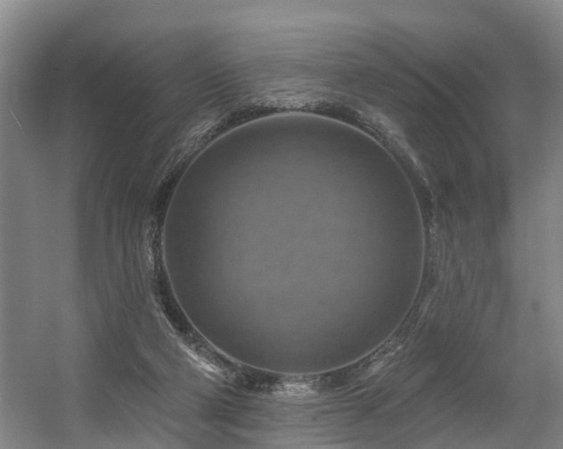 X0000057570114200509161043