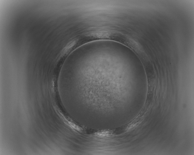 X0000057570120200509161043