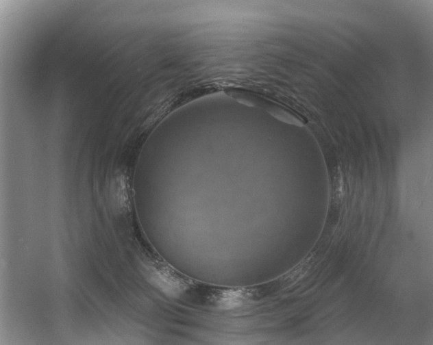 X0000057570130200509161043