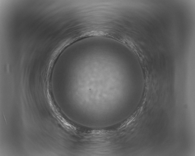 X0000057570145200509161042