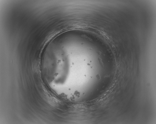 X0000057570146200509161042