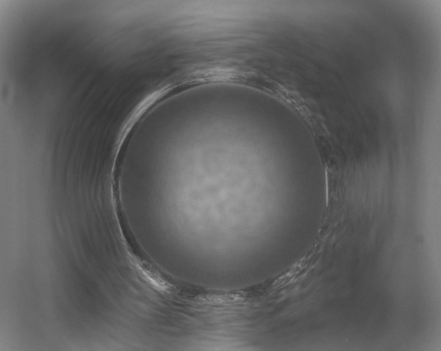 X0000057570147200509161042
