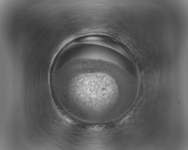 X0000057570148200509161042
