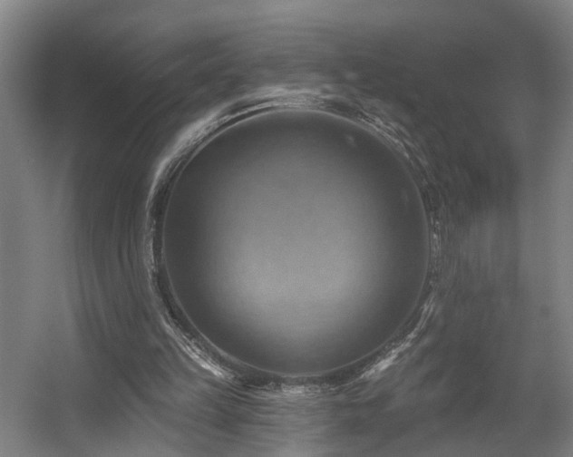 X0000057570149200509161042