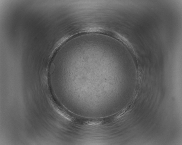 X0000057570155200509161042