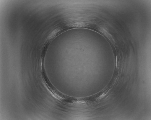 X0000057570157200509161042