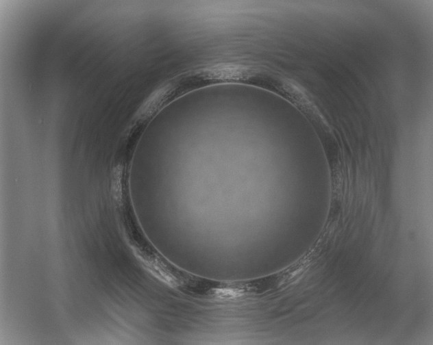 X0000057570167200509161042
