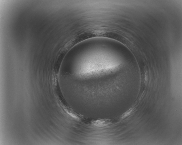 X0000057570180200509161043