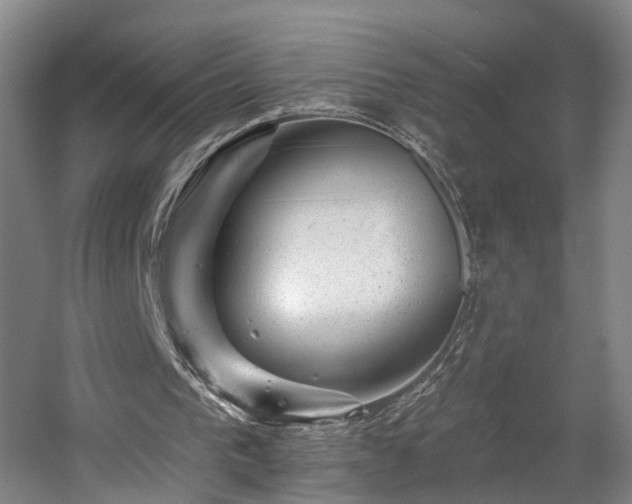 X0000057570193200509161042